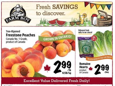 Farm Boy Base Flyer