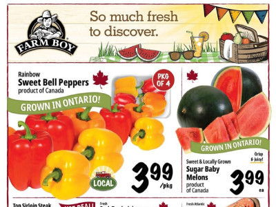 Farm Boy Base Flyer