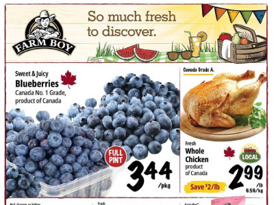 Farm Boy Base Flyer