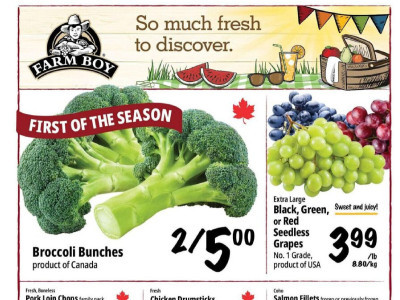 Farm Boy Base Flyer