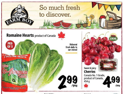 Farm Boy Base Flyer