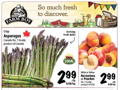 Farm Boy Base Flyer