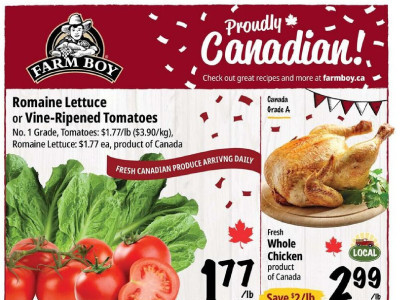 Farm Boy Base Flyer