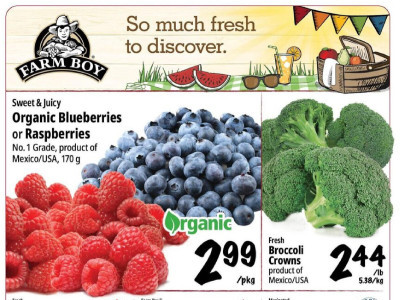 Farm Boy Base Flyer