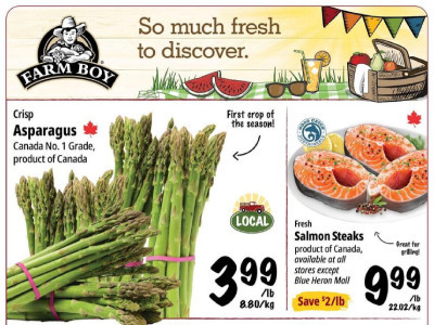 Farm Boy Base Flyer