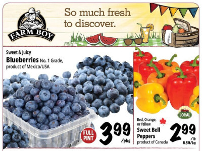 Farm Boy Base Flyer