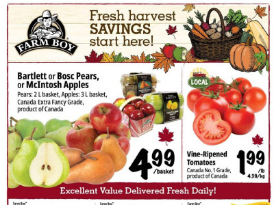 Farm Boy Base Flyer