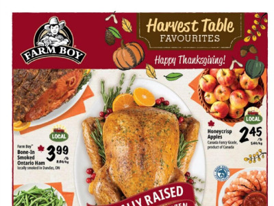 Farm Boy Base Flyer