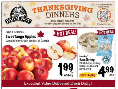Farm Boy Base Flyer
