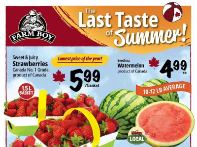 Farm Boy Flyer Thumbnail