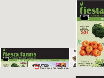 Fiesta Farms Flyer Thumbnail