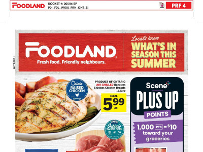 Foodland Zone 3 Flyer
