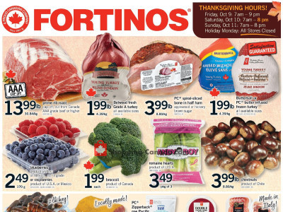 Thumbnail - Fortinos VT Flyer