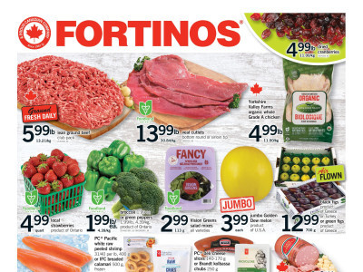 Fortinos Flyer Thumbnail
