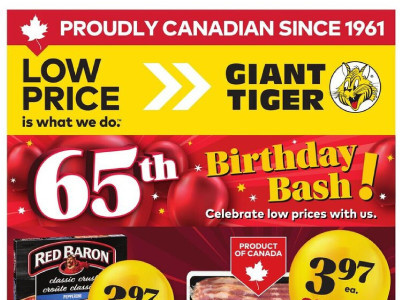 Giant Tiger weeklyflyer Flyer