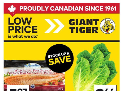 Giant Tiger Flyer Thumbnail valid from Wednesday August 5, 2026 to Tuesday August 11, 2026