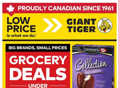 Giant Tiger Flyer Thumbnail
