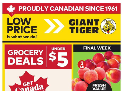 Giant Tiger weeklyflyer Flyer
