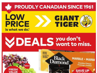 Giant Tiger weeklyflyer Flyer