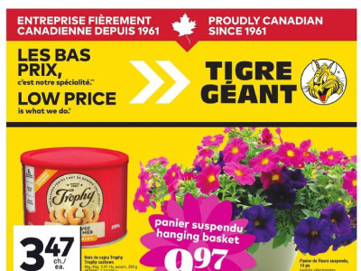 Giant Tiger Flyer Thumbnail
