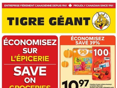 Giant Tiger weeklyflyer Flyer