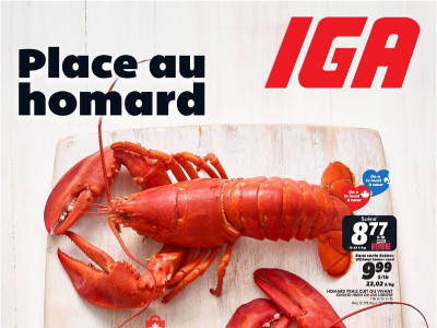 IGA Extra igabrochure Flyer