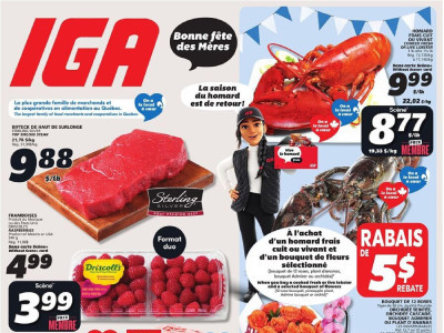 IGA Extra Flyer Thumbnail