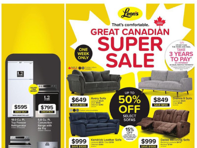 Leons Z1 Flyer