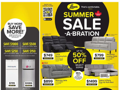 Leons Z1 Flyer