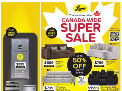 Leons Z1 Flyer