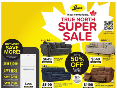 Leons Z1 Flyer