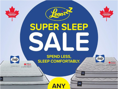 Leons Z1 Flyer