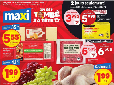 Maxi Flyer Thumbnail