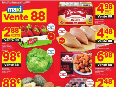 Maxi Flyer Thumbnail
