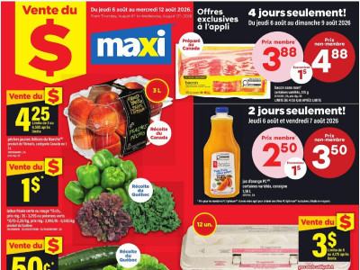 Maxi Flyer Thumbnail