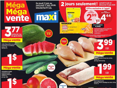 Maxi Flyer Thumbnail