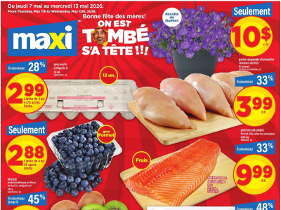 Maxi Flyer Thumbnail