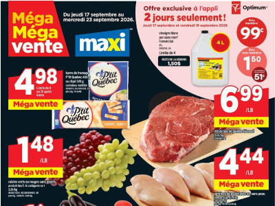 Maxi Flyer Thumbnail