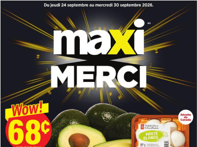 Thumbnail - Maxi flyer Flyer