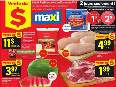 Maxi flyer Flyer