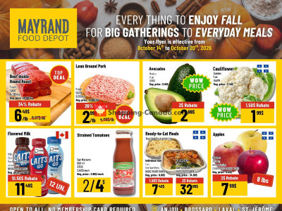 Mayrand Flyer