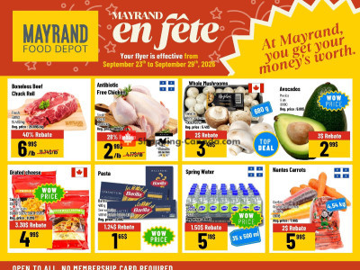 Mayrand Flyer