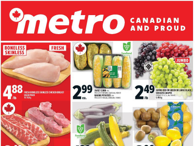 Metro Flyer Thumbnail