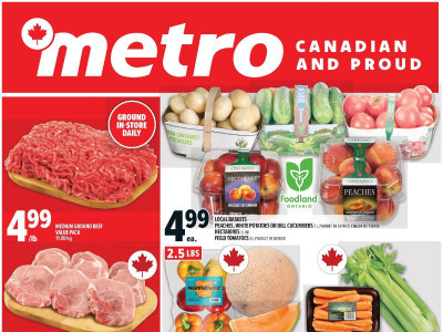 Metro Flyer Thumbnail