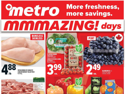 Thumbnail - Metro Weekly Flyer Flyer