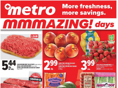Metro Flyer Thumbnail