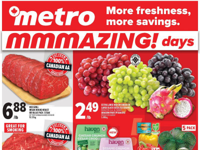 Metro Flyer Thumbnail