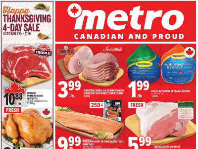 Metro Flyer Thumbnail