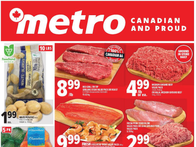 Metro Flyer Thumbnail