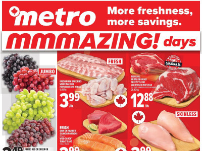 Metro Flyer Thumbnail